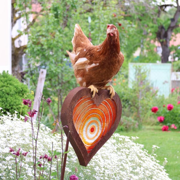 Eine braune Henne sitzt auf einem Gartenstecker in Herzform