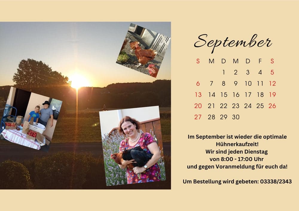 Kalender 2026 — September